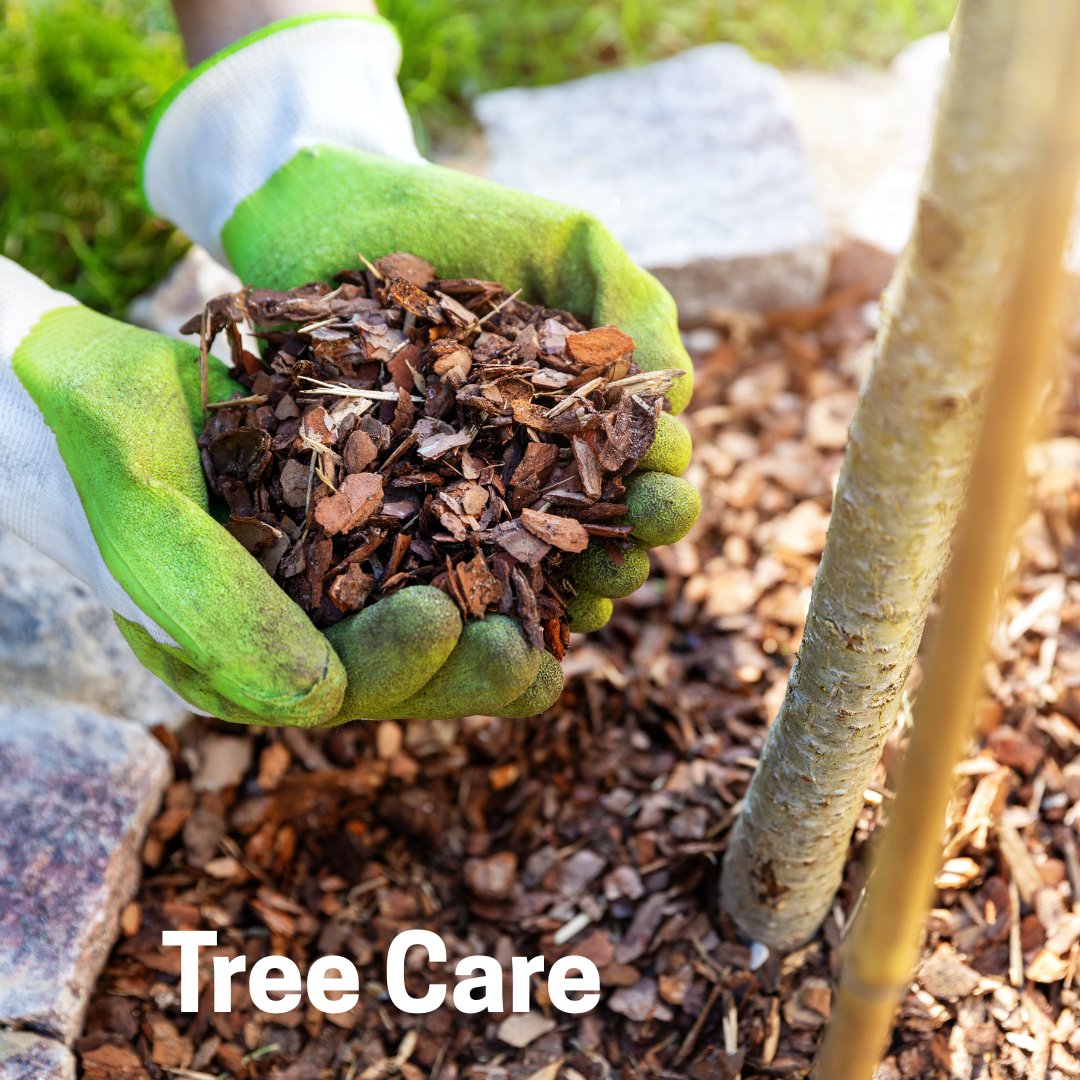 Live Green Howard tweet media