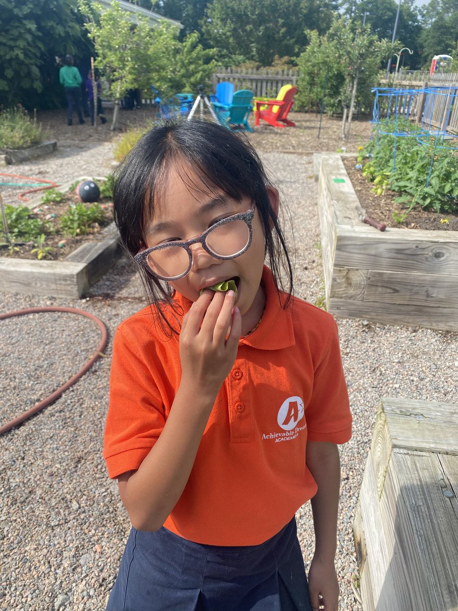 Enjoying some delicious organic lettuce in the #CommunityGardenSeatack <a href="/SeatackDream/">Seatack Elementary AADA</a> #EcoHeroesSeatack <a href="/vbschools/">VBSchools</a>