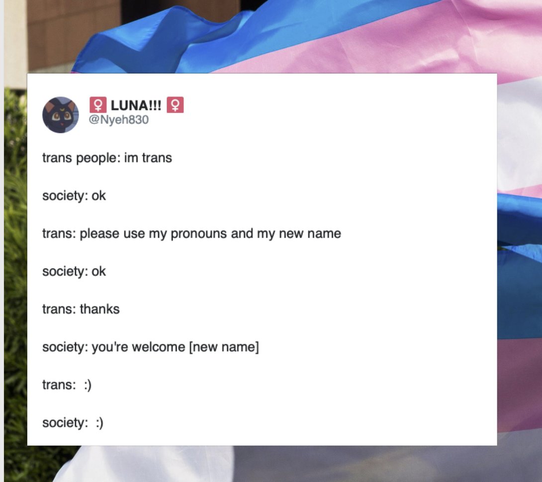 Respectful Memes (@respectfulmemes) on Twitter photo 