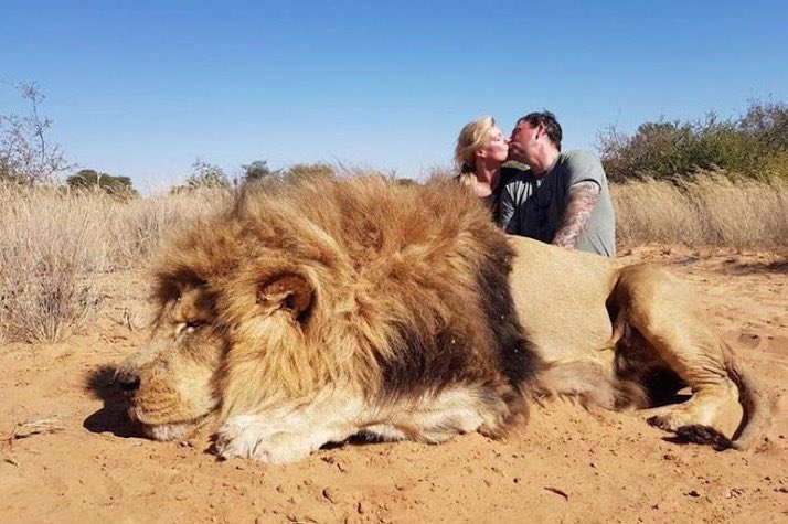 Bloodlust Sealed With A Kiss 😡

A sick couple, Darren and Carolyn Carter, from Canada, kiss to celebrate killing a magnificent Lion in a vile reminder of the blood lust in trophy hunting.

RT if you want a GLOBAL ban on #TrophyHunting NOW!! 🚫

@RickyGervais @PeterEgan