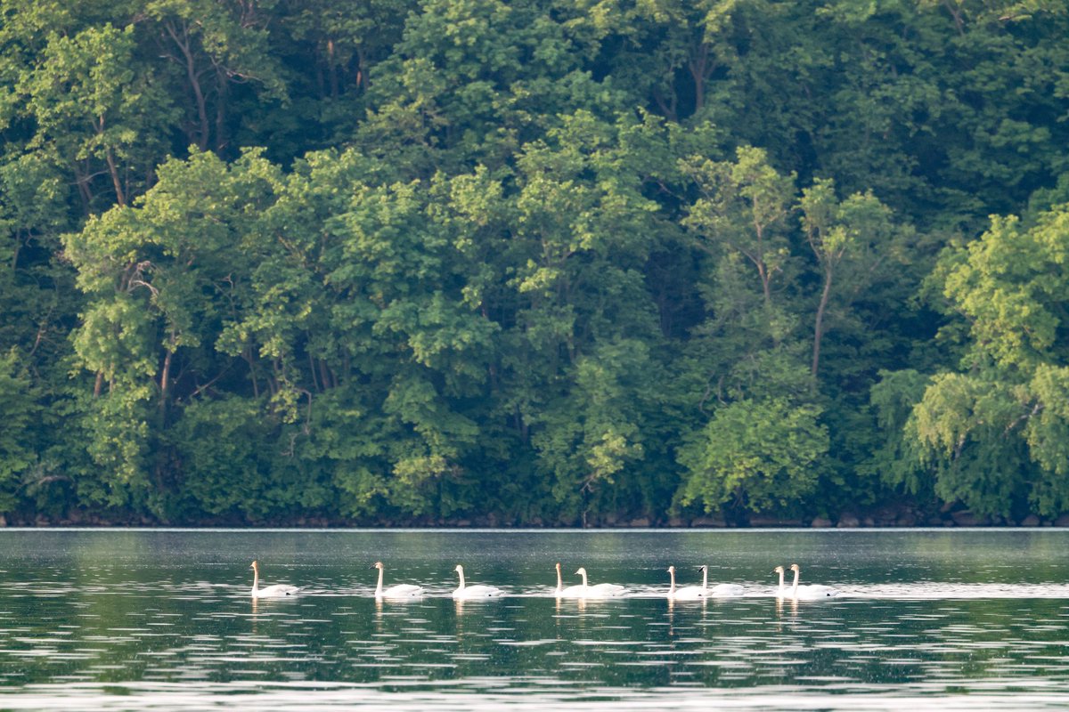 Early morning vibes. <a href="/ClitherallLake/">Clitherall Lake</a> <a href="/OtterTailCounty/">Otter Tail Country</a> #lakelife #FindYourInnerOtter