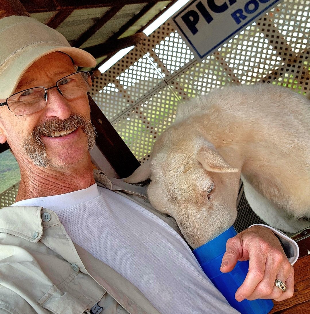 The Fulfilled Life tweet media