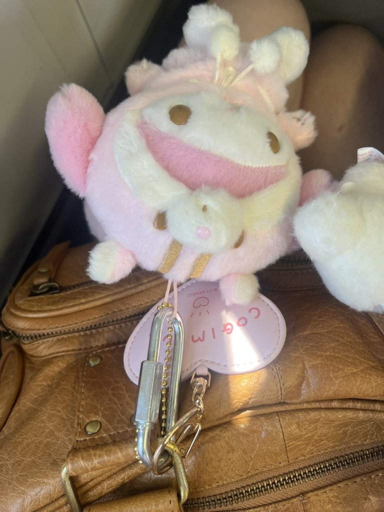 eviecian's tweet photo. locking my plushies to my bag with industrial strength chain connectors   . those who have ever lost a keychain will know … https://t.co/UU66fUdPM4