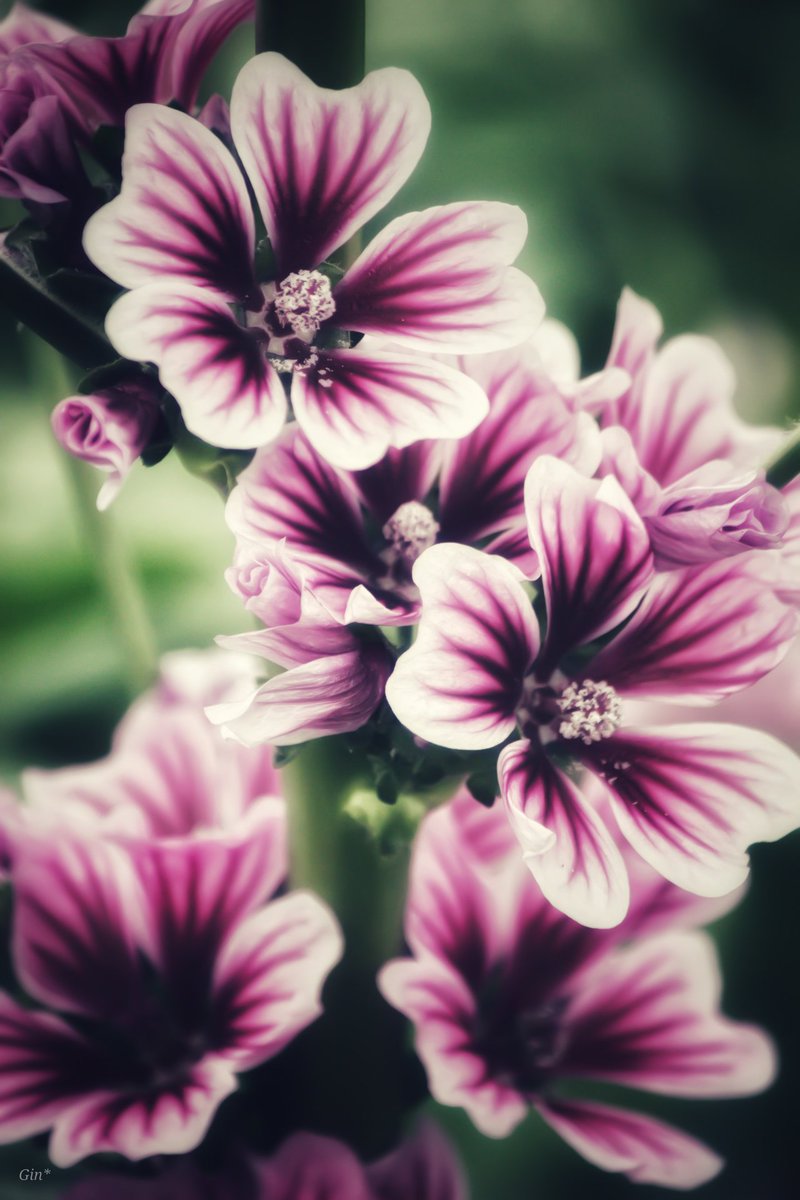 Yuma_r_g's tweet image. #5月を写真4枚で振り返る
