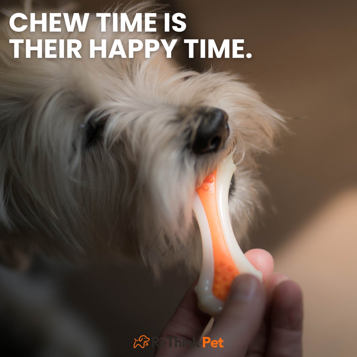 ReThinkPet's tweet photo. Bacon-scented + built to last = instant obsession. 

Keep your pup happy &amp; healthy 🧡 https://t.co/Osaf8nIQ3Q