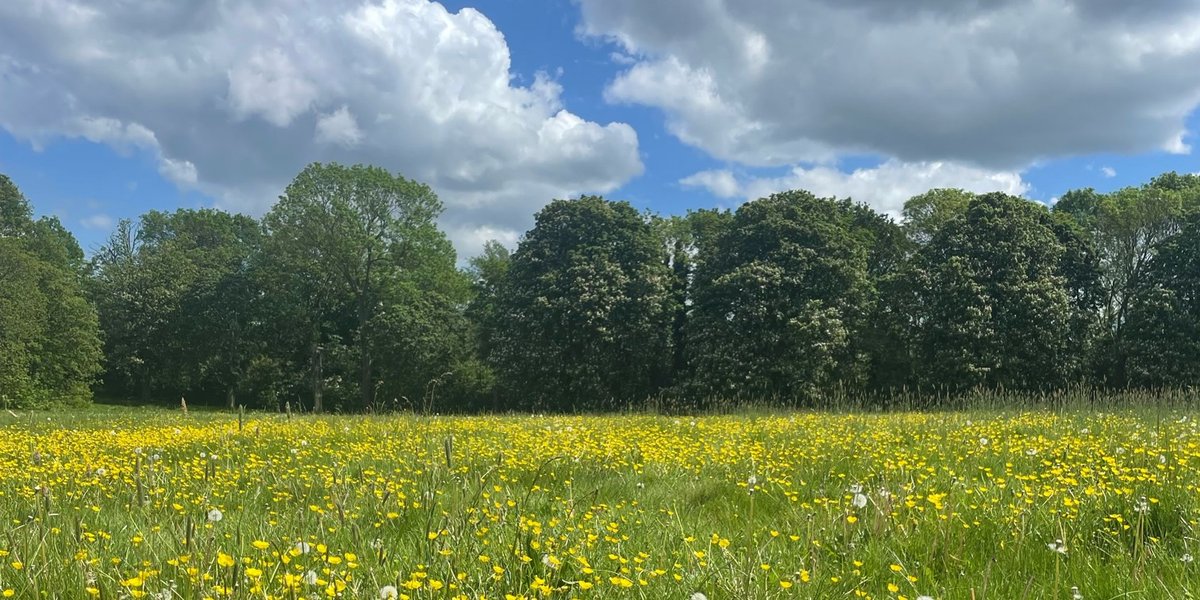 📣 The Met Office has issued an amber warning for wildfires (1-3 June) due to warm, dry weather 🌡️

Please take care to prevent fire hazards in our parks and open spaces:
🥪 BBQs are not permitted – pack a picnic instead
🚮 Put litter in the bin
🚭 Dispose of cigarettes carefully