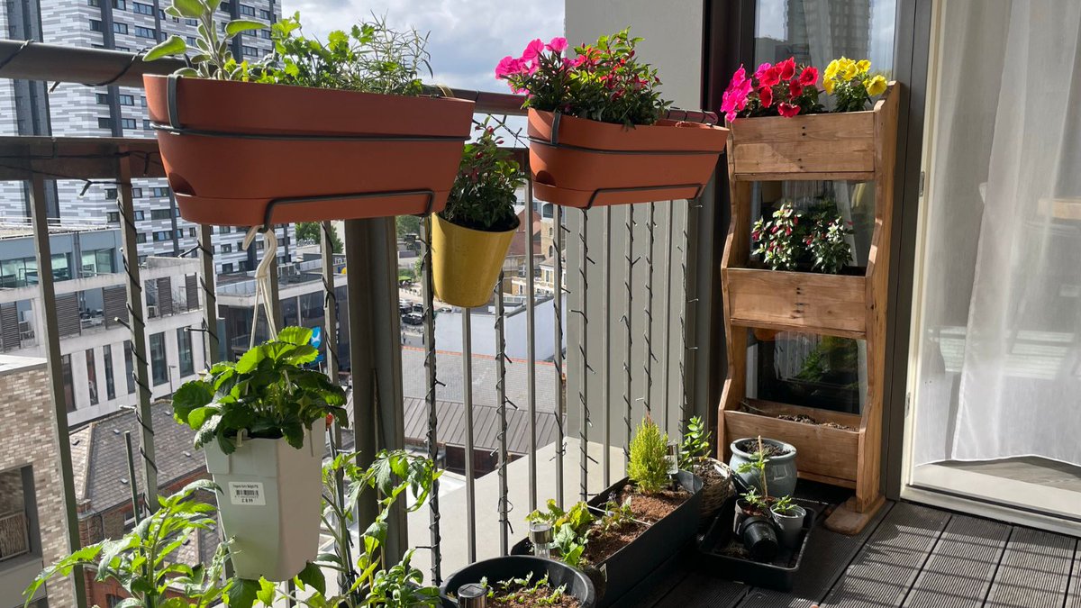 Wandsworth Council tweet media