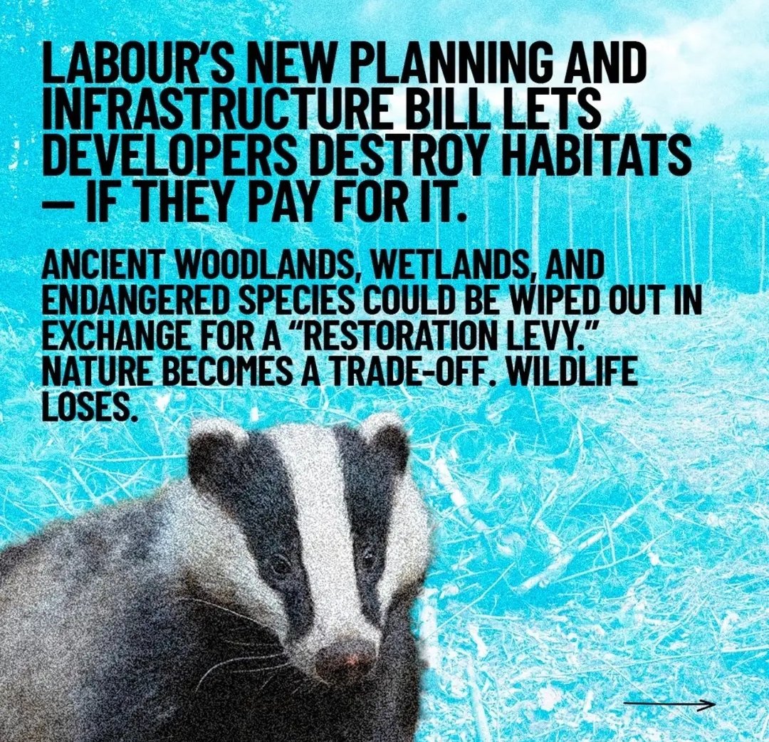 EcologistsAgainstTheCull tweet media