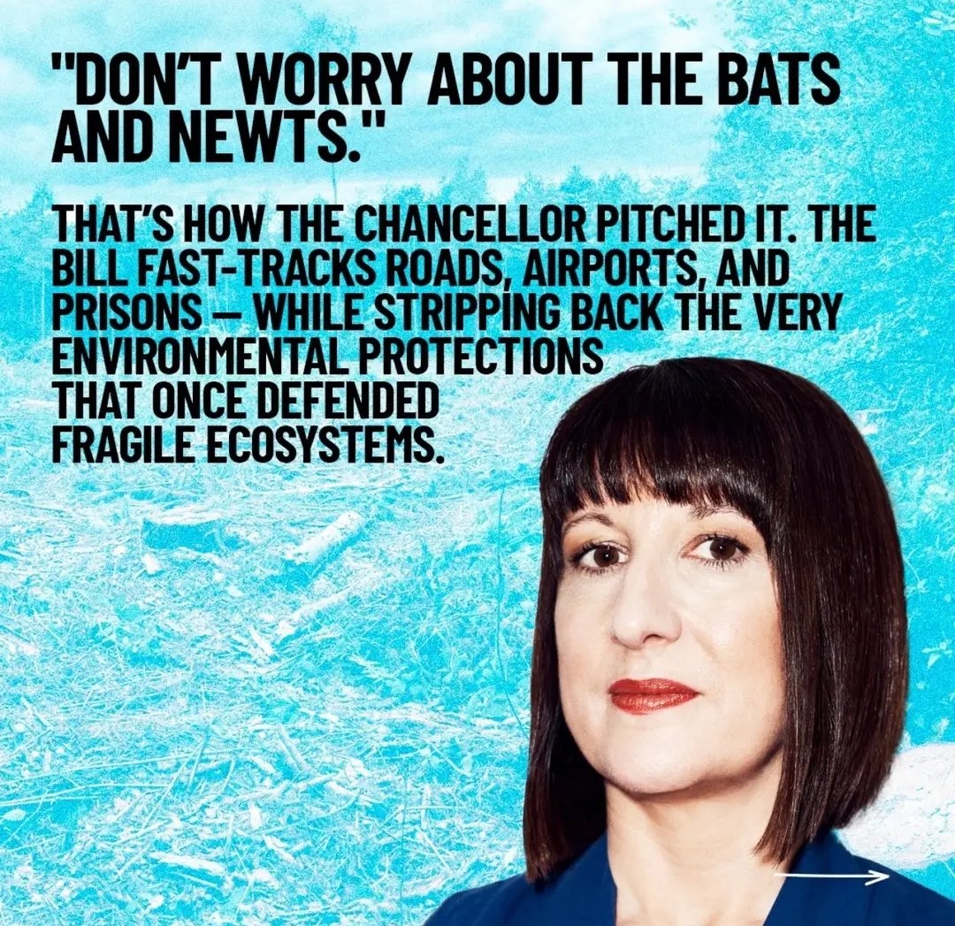 EcologistsAgainstTheCull tweet media