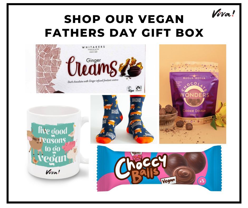 Treat your dad to a vegan Father's Day Treat Box 🎁 🌱

Chocolates, socks and a vegan mug - what more could he want?!

Shop here: vivashop.org.uk/collections/fa…

#veganism #veganshop