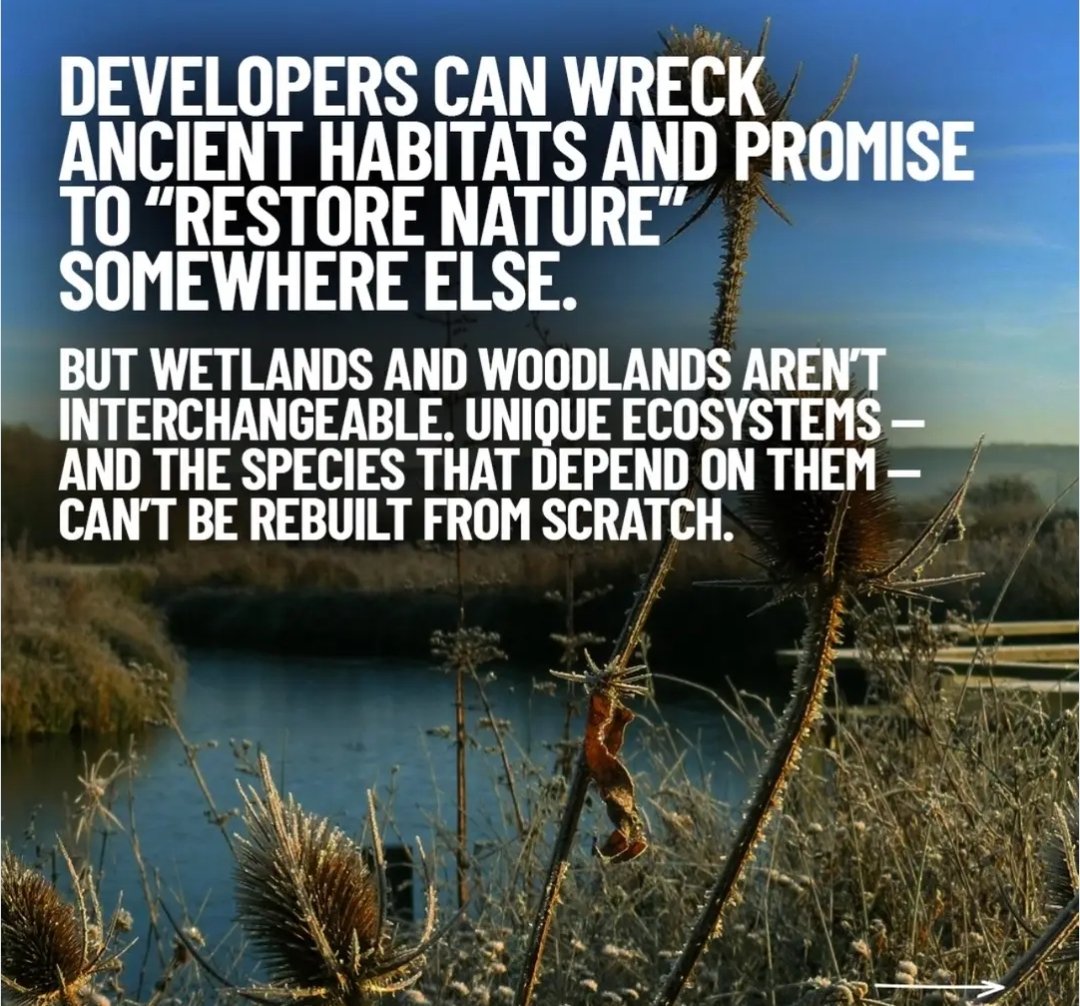 EcologistsAgainstTheCull tweet media