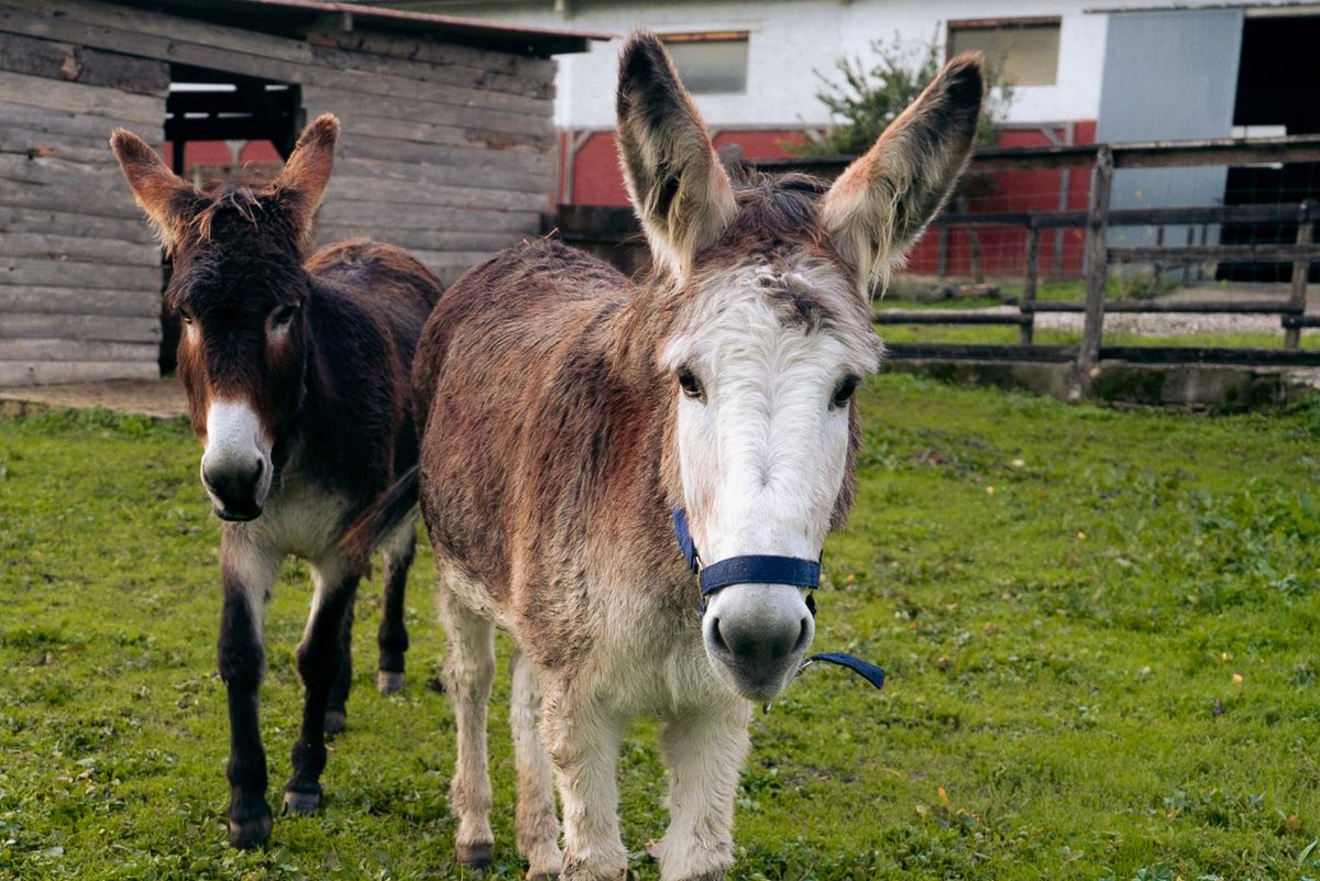 Visit Navarra tweet media