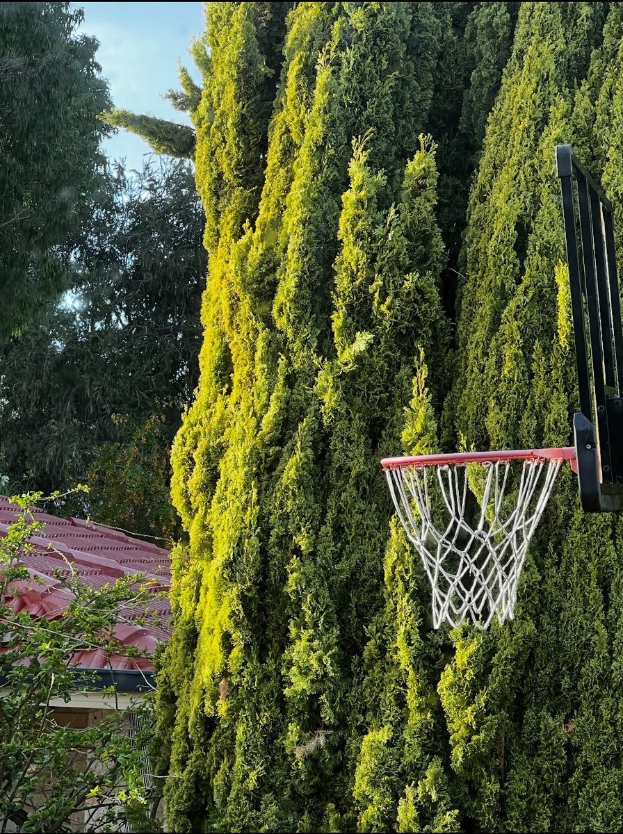 dave_severns's tweet photo. Hoop of the Day… Perth, Austrailia #hoopoftheday. https://t.co/6fsBiYU1mH
