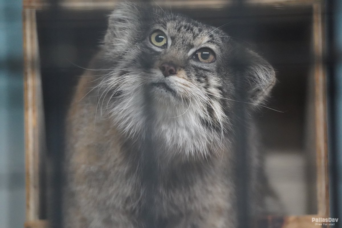 This is where Iris spends his time at night, in his little box 📦