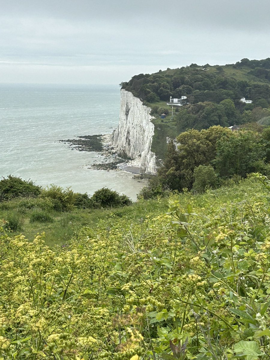 ChloeMackayCS's tweet image. Glorious finish to #100Miles in May for @CombatStress, walking the iconic #WhiteCliffs of #Dover.
#Military #MentalHealthAwareness #Veterans