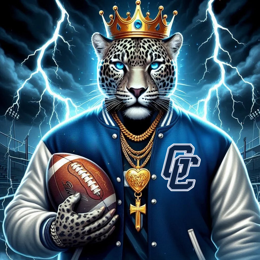 ITS A GREAT DAY TO BE A JAGUAR ! 🐆 🐆🐆