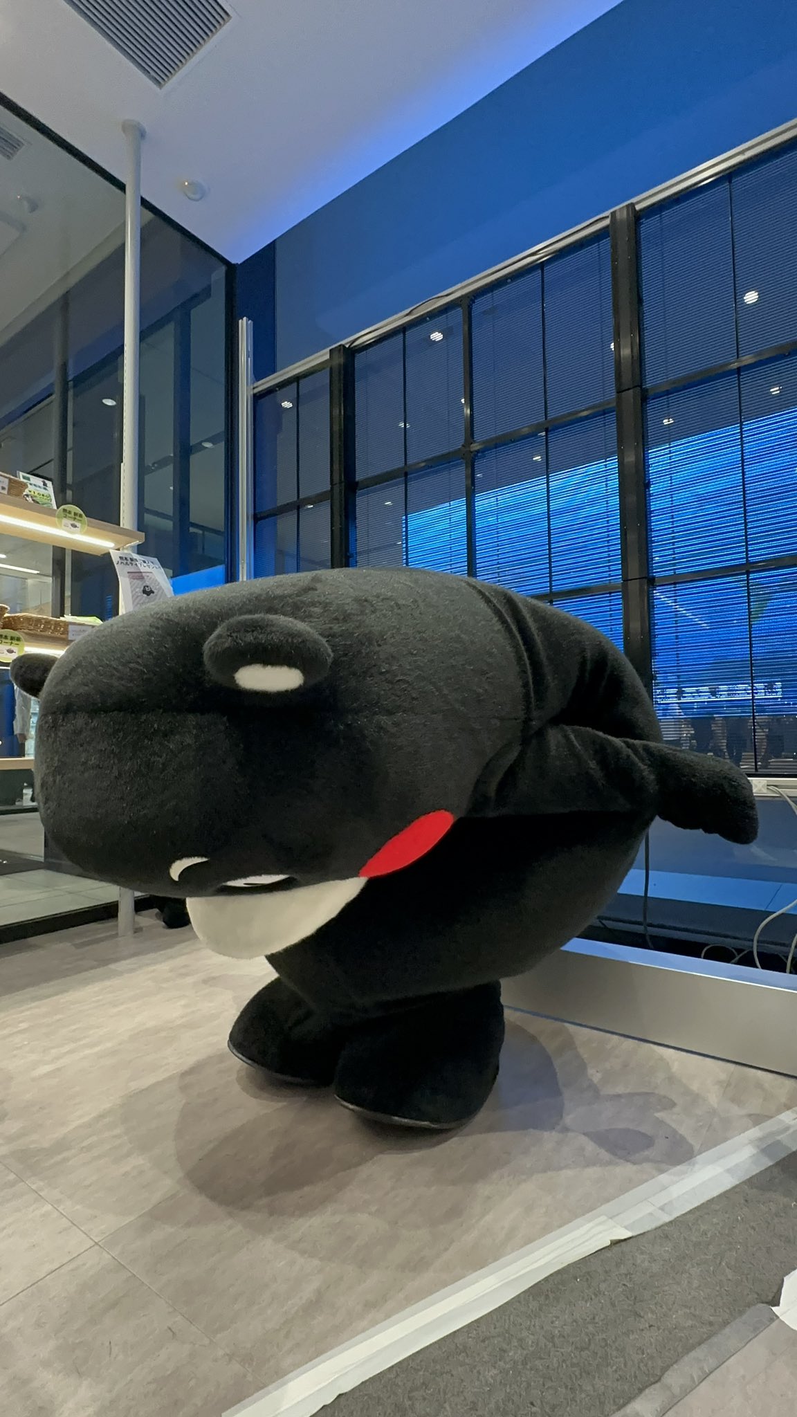 kumamon15-4.jpg