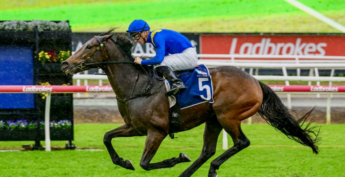 It couldn’t be better deserved than NEW ENDEAVOUR finally broke his Aussie 🦆
A stunning looking son of ⁦<a href="/BallylinchStud/">BallylinchStud</a>⁩ New Bay and having gone do close in last season’s G1 Doomben Cup He has been a model of consistency for his 🇦🇺owners.
⁦<a href="/Goffs1866/">Goffs</a>⁩ London graduate