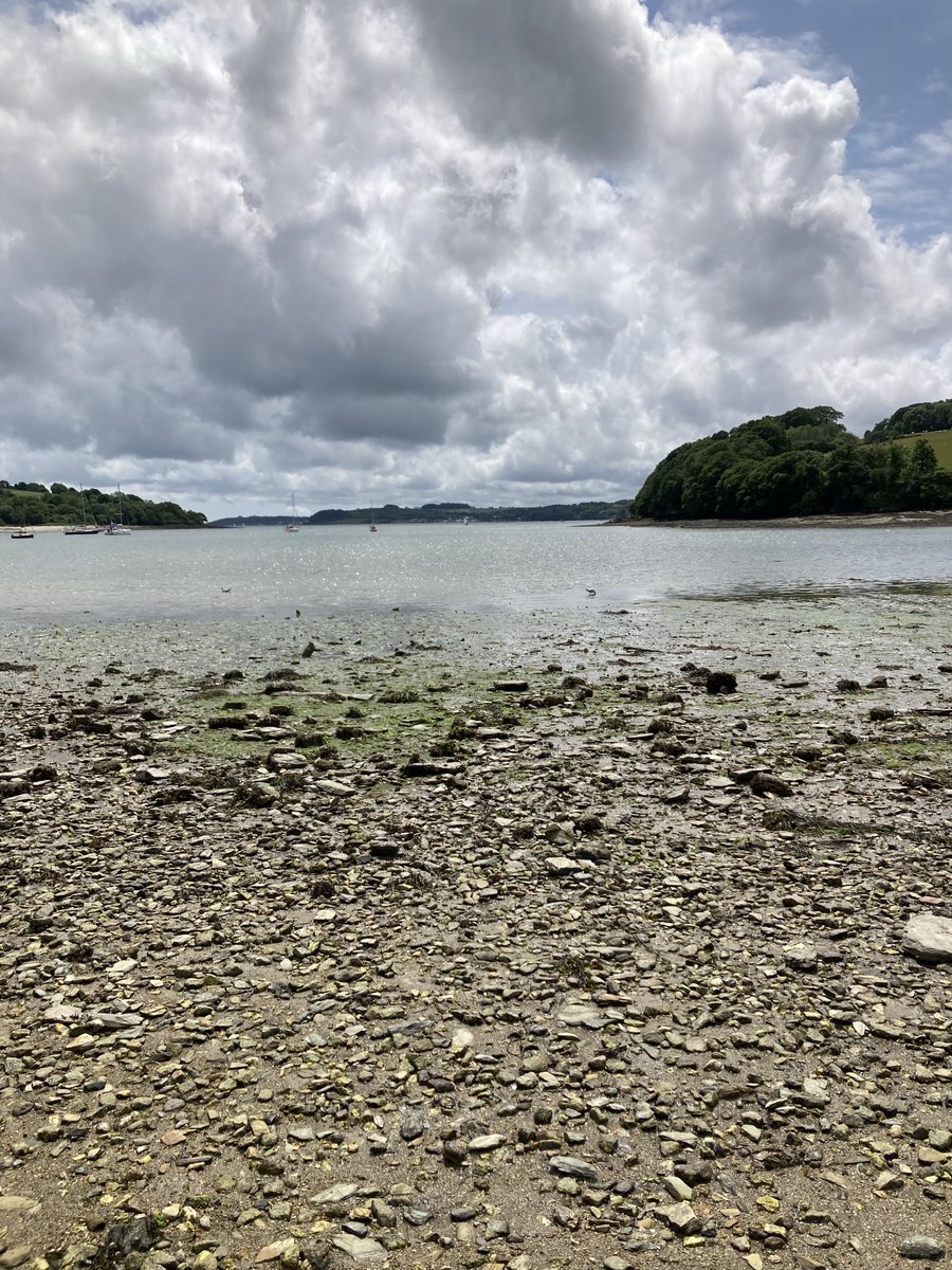 Tim Taylor (@timtaylorenveco) on Twitter photo Enjoying blue space <a href="/nationaltrust/">National Trust</a> Trelissick beach. Enjoying blue space <a href="/nationaltrust/">National Trust</a> Trelissick beach.