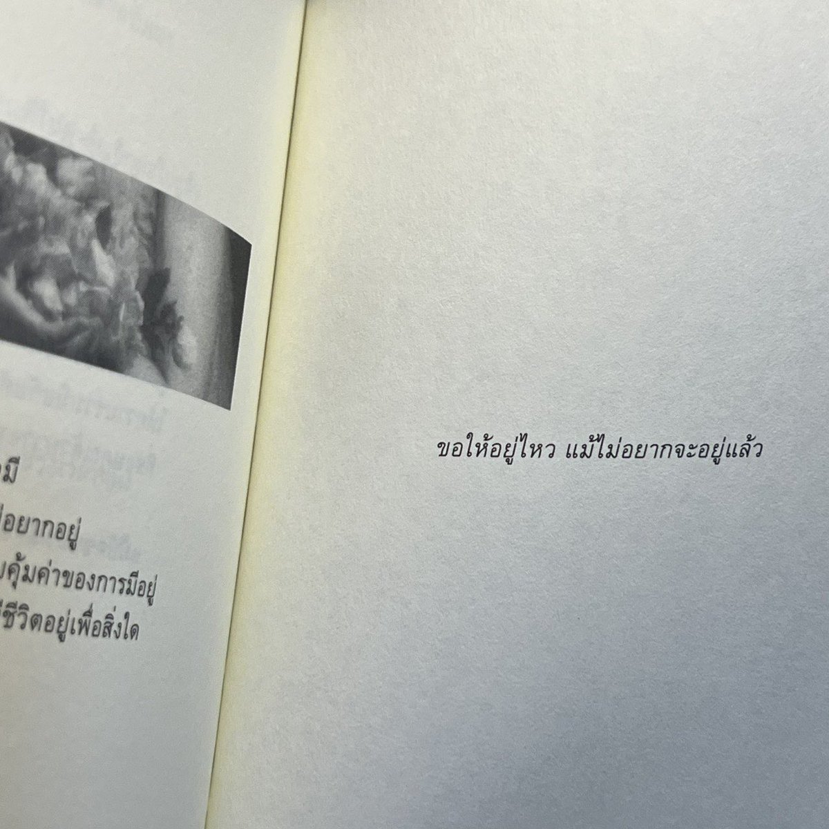 กลิ่นหนังสือ (@klinnangsue) on Twitter photo 