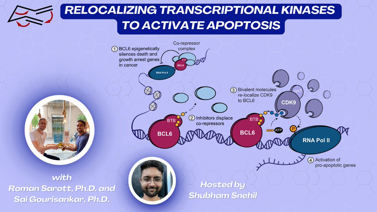 Synthesis Workshop (@matthewhorwitz1) on Twitter photo Join us today today to hear from Roman Sarott and Sai Gourisankar about relocalizing transcription kinases to activate apoptosis!! Thanks to Shubham for editing and hosting!
Link: youtu.be/gGsKxa8FTDI
<a href="/ScienceMagazine/">Science Magazine</a> 386, eadl5361 (2024) science.org/doi/10.1126/sc… Join us today today to hear from Roman Sarott and Sai Gourisankar about relocalizing transcription kinases to activate apoptosis!! Thanks to Shubham for editing and hosting!
Link: youtu.be/gGsKxa8FTDI
<a href="/ScienceMagazine/">Science Magazine</a> 386, eadl5361 (2024) science.org/doi/10.1126/sc…