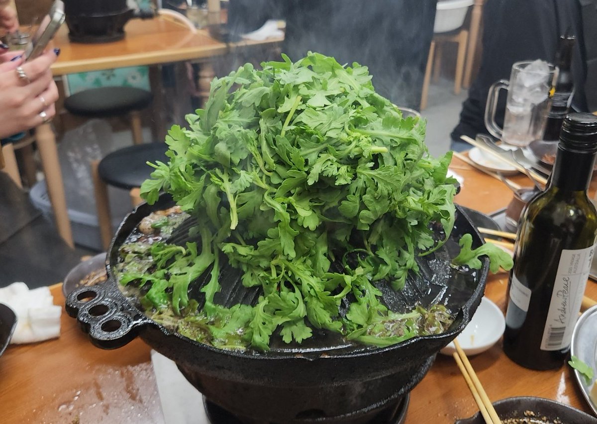 テンプル大学の大会大好きなんでもっともっと参加者増えてくれると嬉しいです！DOJOと開催してくれて感謝！
三軒茶屋には美味しいジンギスカンや、テケナーのPhantomさんのお寿司屋さんもあるので試合後の胃袋の幸福度がMAXです！
そして日韓飲み会~🇯🇵×🇰🇷