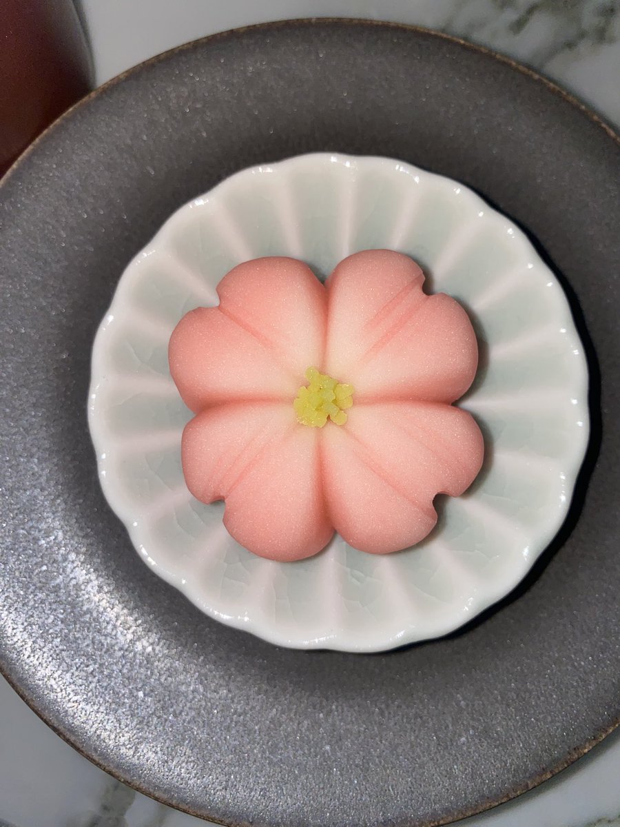 Soa_v_v's tweet photo. Japanese sweet "Wagashi"🌸 https://t.co/NpWixESUOf
