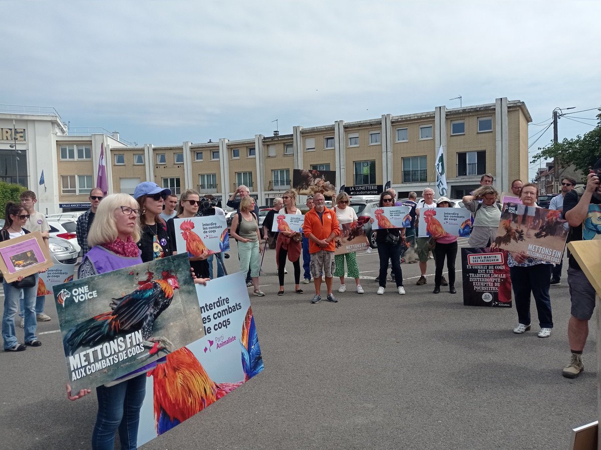 Ensemble pour l'abolition de la corrida (@pourlabolition) on Twitter photo Forte mobilisation pour le rassemblement unitaire #stopcombatsdecoqs
<a href="/onevoiceanimal/">One Voice</a> <a href="/FBB_Officiel/">Fondation Brigitte Bardot</a> <a href="/SPA_Officiel/">La SPA France</a> <a href="/StephaneLAMART/">Association Stéphane Lamart</a> <a href="/paz_zoopolis/">PAZ</a> Forte mobilisation pour le rassemblement unitaire #stopcombatsdecoqs
<a href="/onevoiceanimal/">One Voice</a> <a href="/FBB_Officiel/">Fondation Brigitte Bardot</a> <a href="/SPA_Officiel/">La SPA France</a> <a href="/StephaneLAMART/">Association Stéphane Lamart</a> <a href="/paz_zoopolis/">PAZ</a>