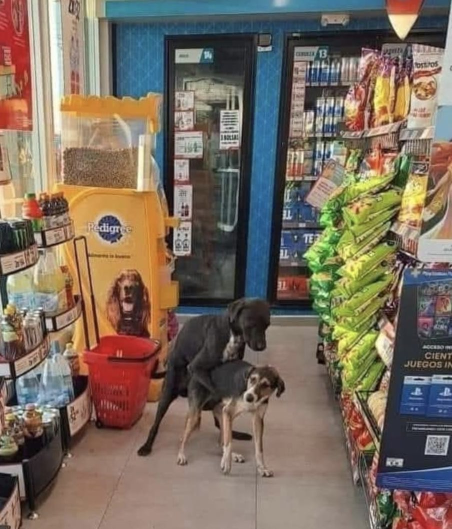 Te mentí…No venimos por croquetas!