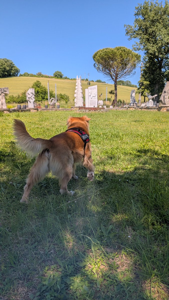 GM everyone!
Wishing you a wonderful weekend.

Proof of touching grass! 😍