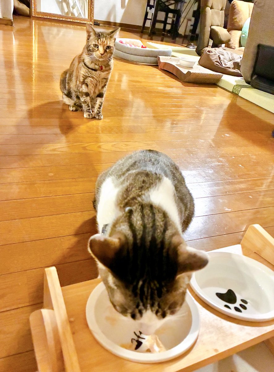 お残しは許さないスタイル。