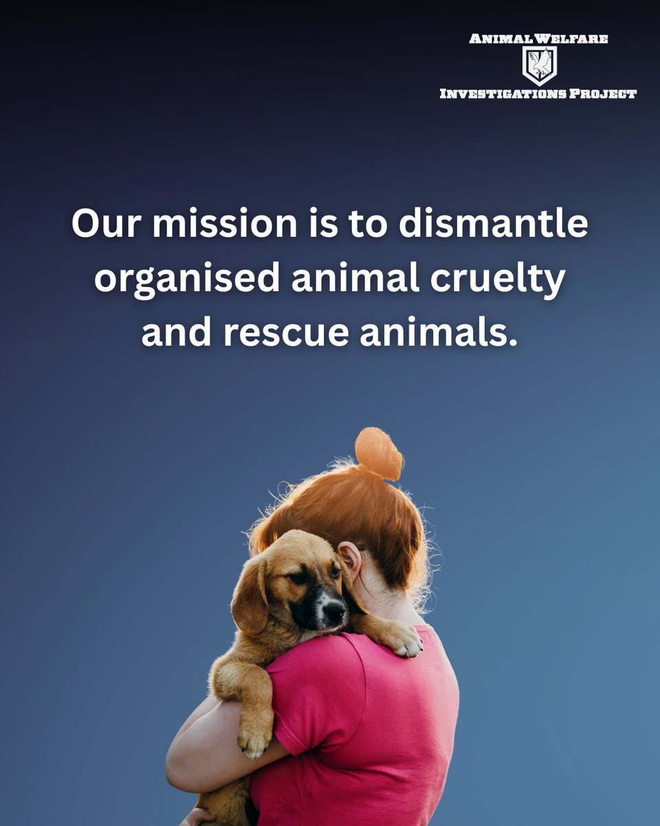 awipngo's tweet image. At AWIP, we believe in a world where all animals are safe from harm. ❤️

Today, we are conducting investigations worldwide! 🌍
Join us in our mission to rescue animals and support our work 🐾

#AnimalWelfareInvestigations #AWIP #JoinOurMission #JusticeForAnimals #AnimalRescue