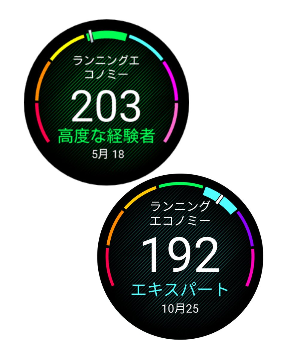 Forerunner 970】あなたのランニングエコノミーを可視化！ プレミアム