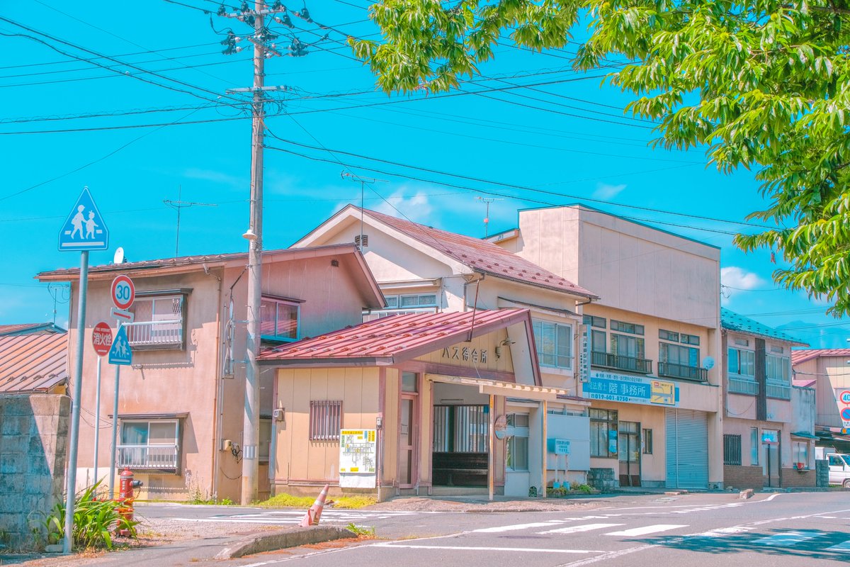 杏 tweet media