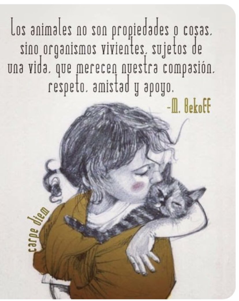 😻🌈😻LOS  ANIMALES………..
😻SI. NO…………………………………
😻SUJETOS. DE………………………
😻QUE. MERECEN………………….
😻RESPETO…………………😻🌈😻