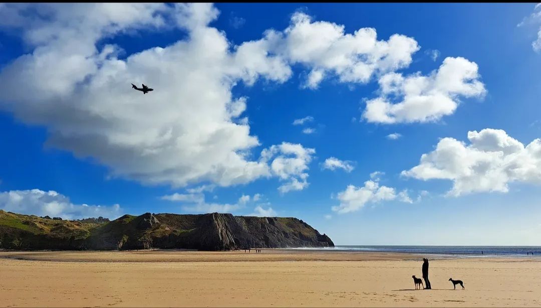 ✅️ Dog friendly self-catering cottages
✅️ Dog friendly beaches
✅️ Dog friendly pubs and cafes

Clyne Farm Centre is the ideal location for you to bring your dogs on holiday!

#DogFriendly #DogFriendlyHoliday #ClyneFarmCentre #Swansea #Wales #LoveGower