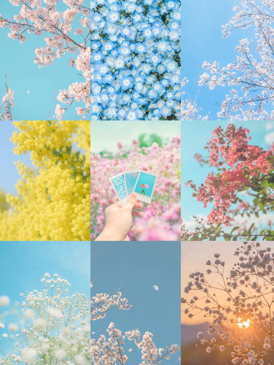 ノア | 𝘕𝘰𝘢𝘩 tweet media
