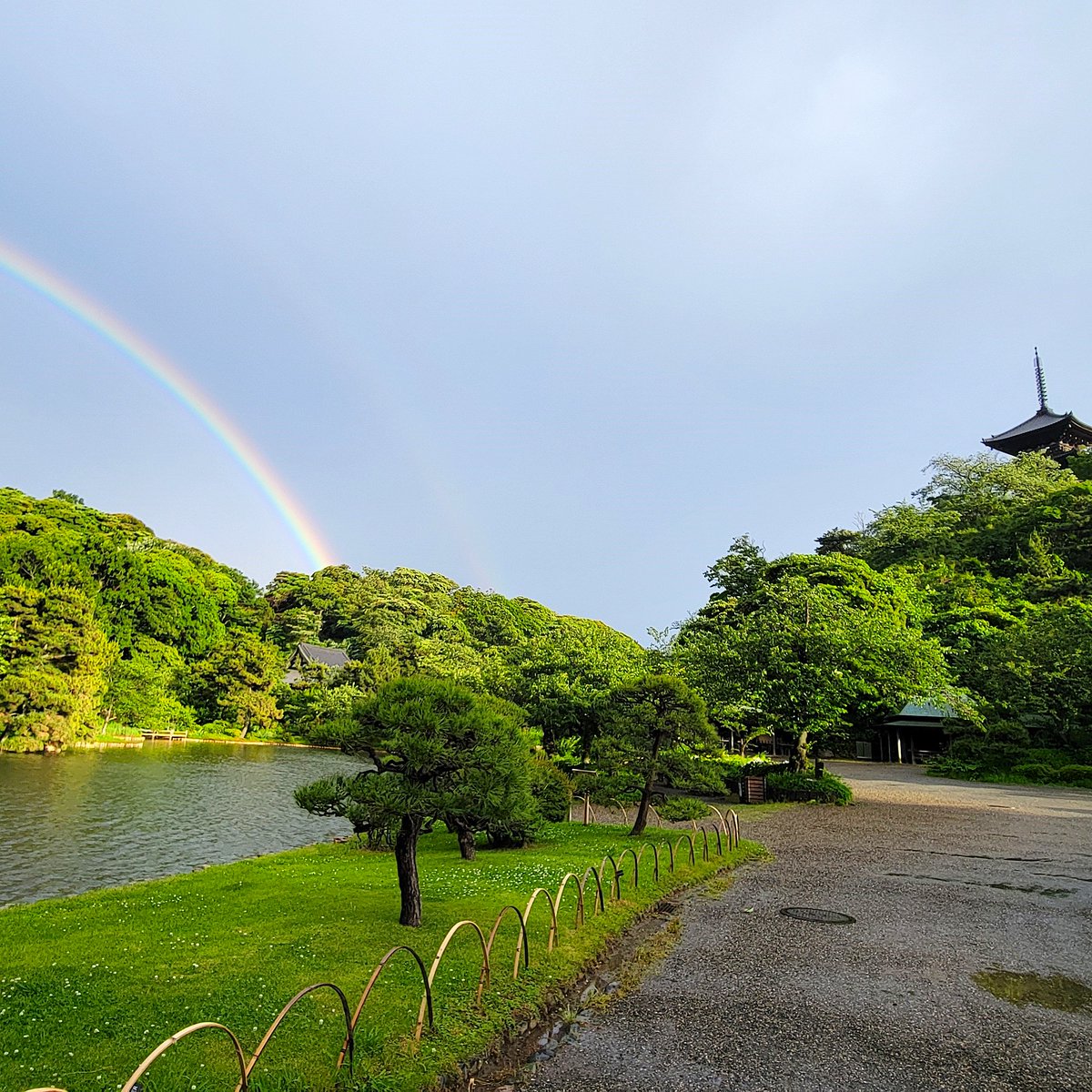 HSankeien's tweet photo. 🌈大きな二重の虹がかかりました🌈
5/31(土) 17：30ごろの様子です。
閉園後でお客様にご覧いただけないので
画像でお届けします。
大池から虹が出ていて、幻想的です！！！

#三溪園 #三渓園 #虹 #ダブルの虹 https://t.co/zi75Jd37de