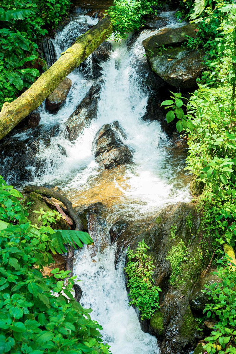 I shoot waterfalls in aperture priority mode and prefer maximum depth of field, so I usually keep my aperture around f/8 or f/11. Mostly , I try not to use f/16 or f/22 because such narrow apertures introduce diffraction associated softness to the overall image.
ISO start — 100