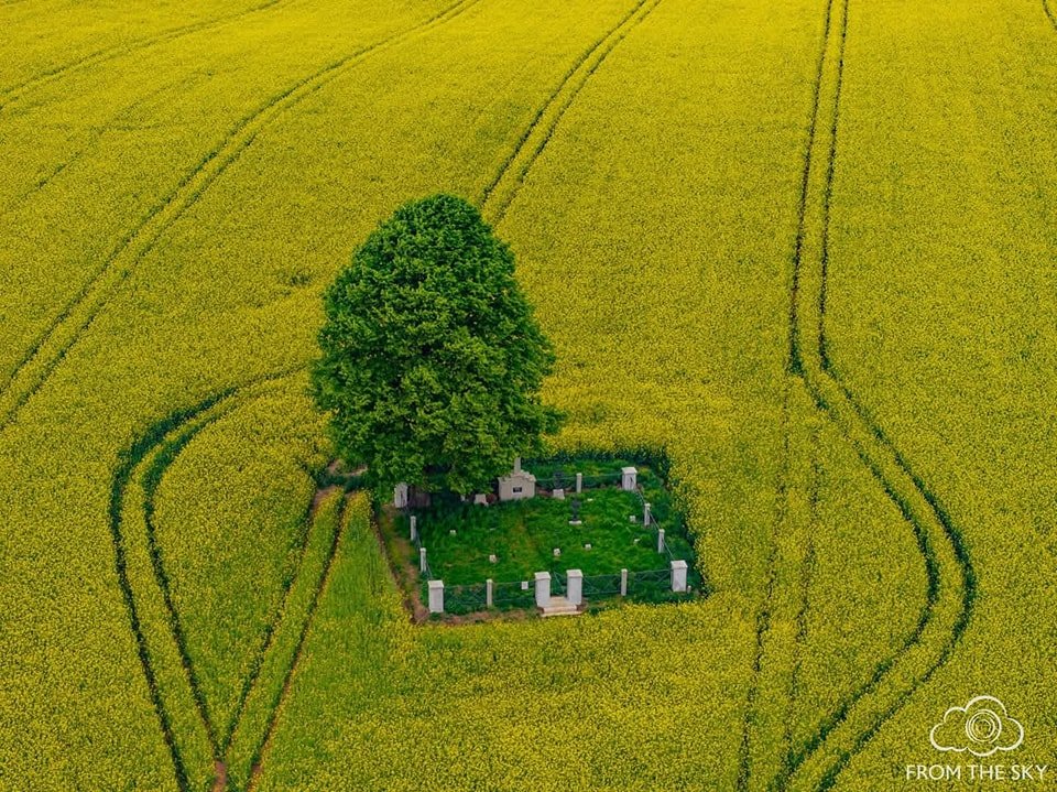 michaljadczak's tweet image. Ktoś mądry kiedyś rzekł, iż szacunek dla przeszłości tworzy naszą historię, i to co widzicie na zdjęciu jest chyba tych słów najlepszym potwierdzeniem.
Jest to tak w ogóle cmentarz wojskowy z czasów I Wojny Światowej znajdujący się Małopolsce, a konkretnie w Cichawie, gm. Gdów.