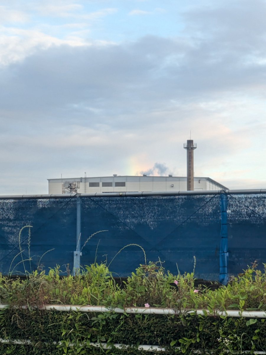 ほんの少しだけ虹🌈が出たよ