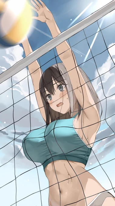 タッチネット