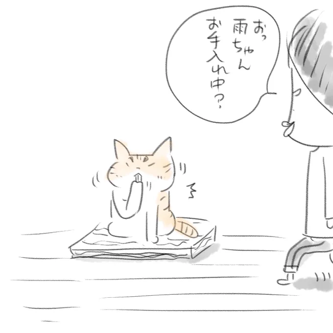 追われたガール 