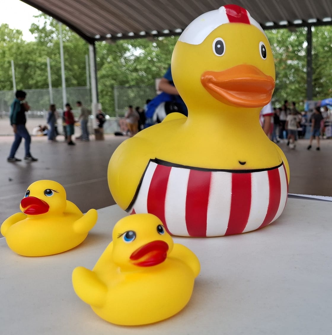 Ya están moviendo las alitas preparados para la Carrera del año... quién ganará? Está claro! Ganamos todos/as porque es una carrera solidaria, este año la recaudación va para <a href="/eavacyl/">EAVACYL</a>