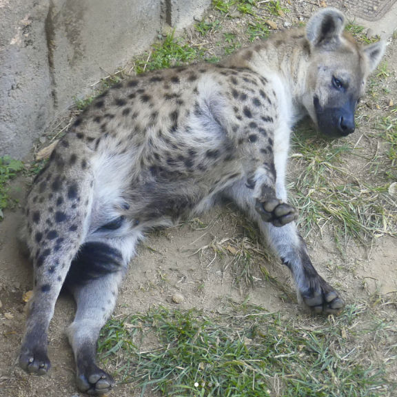 𝑚𝑎𝑟𝑢(ﾏﾙ) tweet media