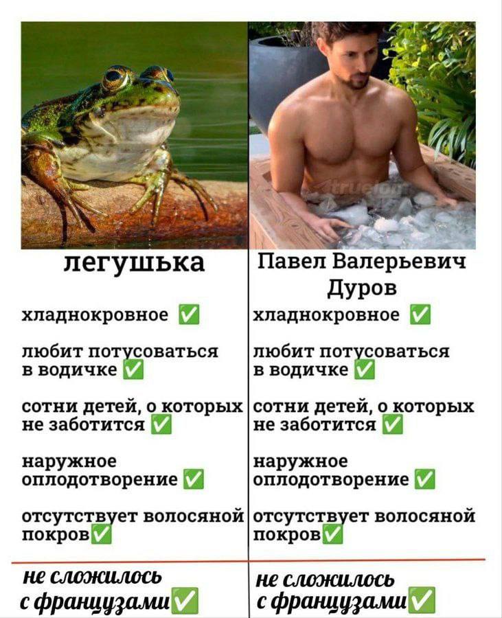 Дантес (@dantesdmitriy) on Twitter photo 