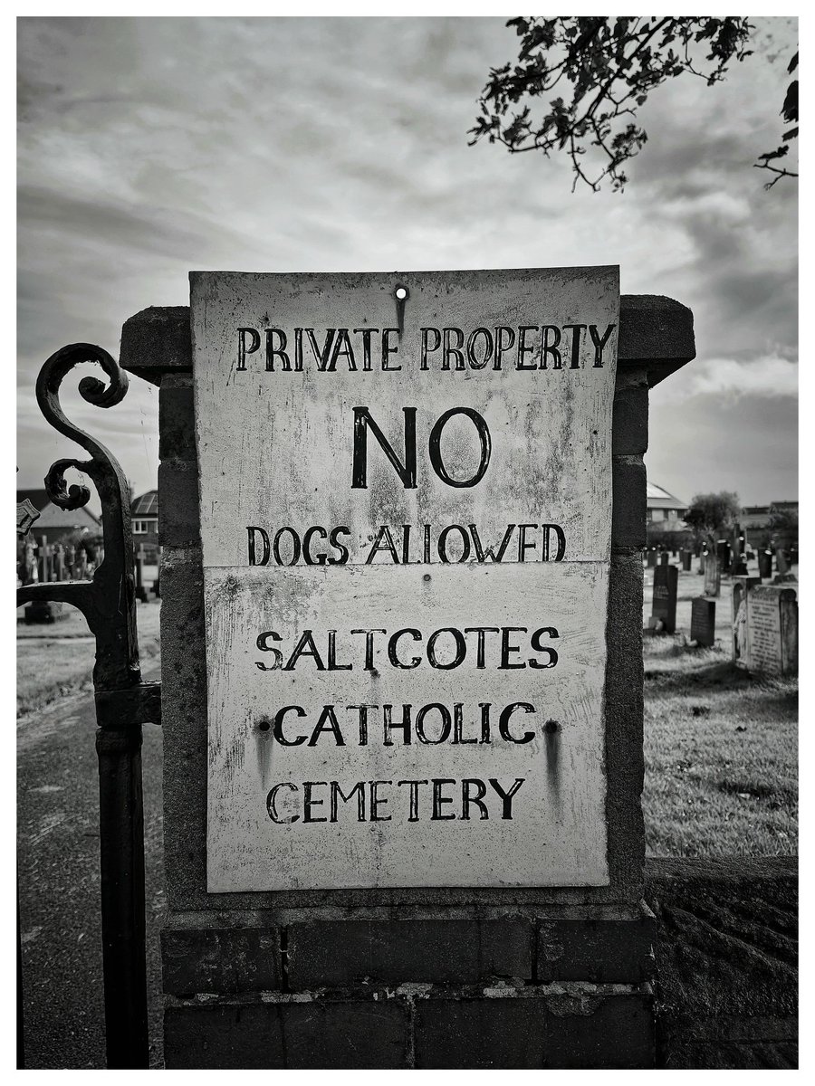 requiescat in pace

<a href="/Gallery365photo/">Gallery365photo</a>
#Gallery365in2025 #Gallery365in2025dailyprompt