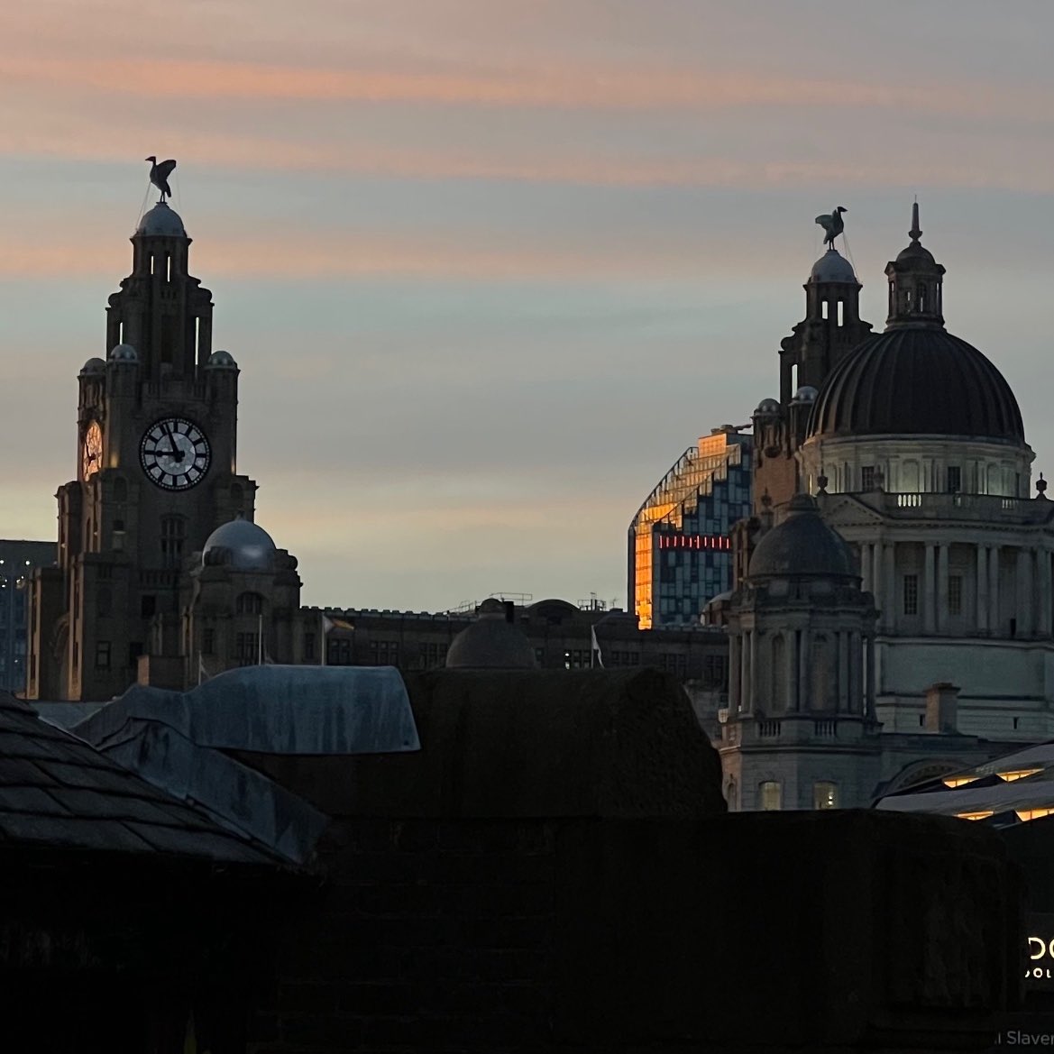 BASE Apartments tweet media