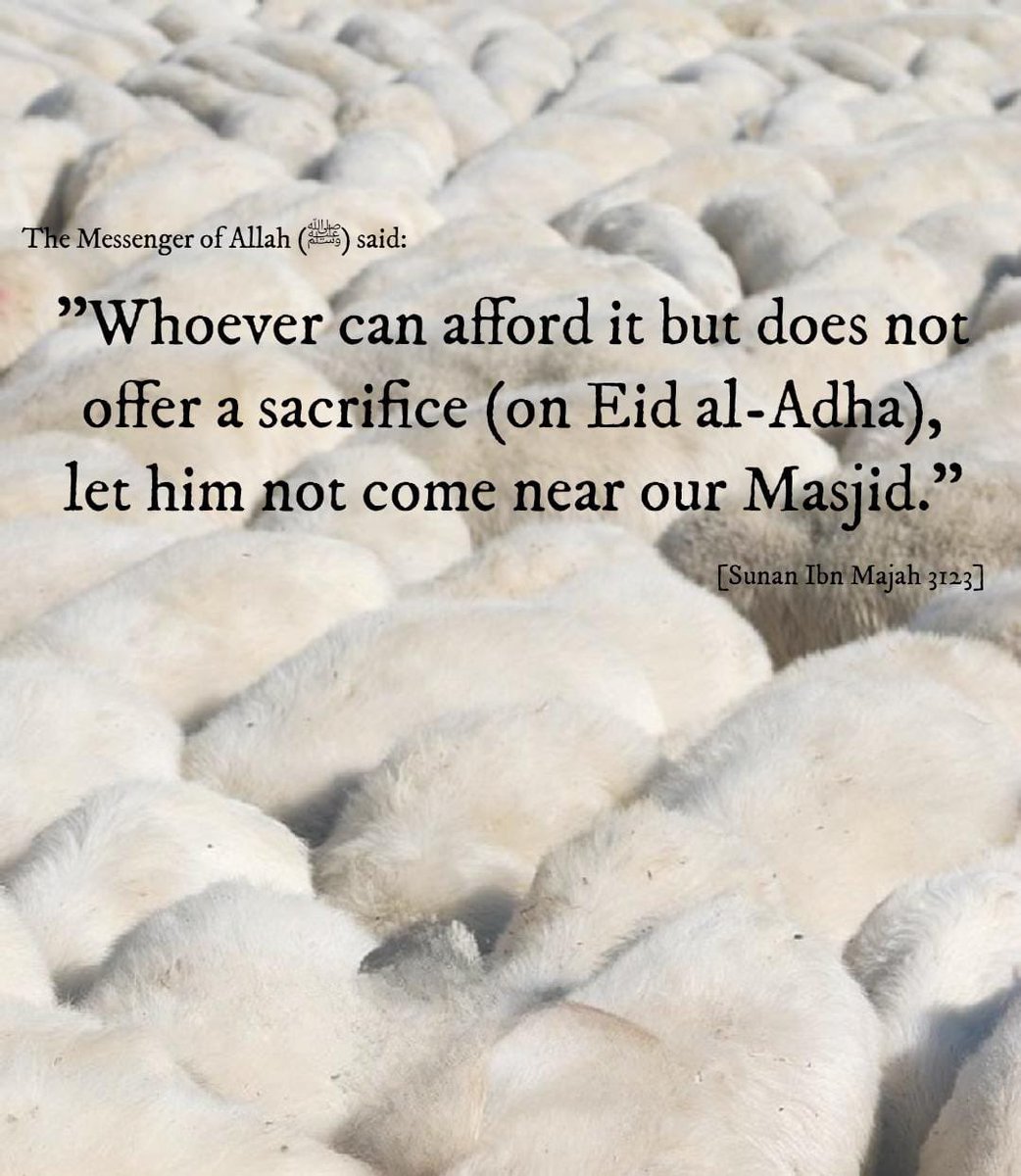 Nesmu Dawah (@nesmudawah) on Twitter photo 