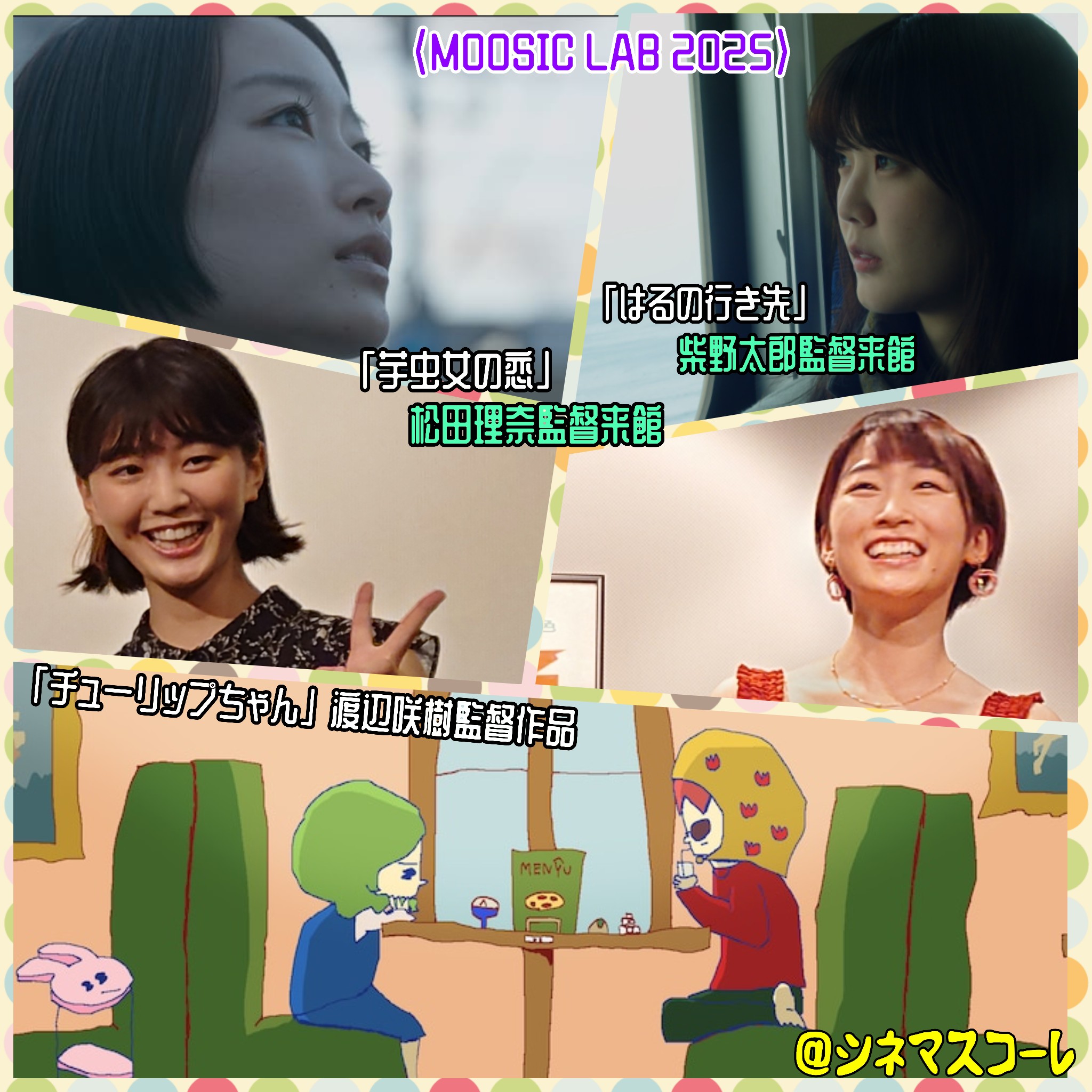 渡辺咲樹 - Search / X